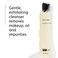 PCA SKIN Gentle Foaming Face Wash Hydrating Facial Cleanser Removes Makeup and Hydrates and Purifies Skin Good for Sensitive Combination Normal and AcneProne Skin Gentle Face Wash 7 oz Bottle