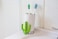 Cactus Silicone Teether Toothbrush Toothbrush for Infants Multiple Soothing Surfaces BPA Free Green