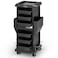 Salon Trolley with 6 Drawers  Dryer Holder Rolling Hair Cart Organizer Mobile Storage Station Hairstylist Cart with Wheels for Beauty Tattoo Hairdressing