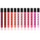 SHANY The Wanted Ones  12 Piece Lip Gloss Set with Aloe Vera and Vitamin E