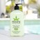 HEMPZ Body Lotion  Green Tea  Asian Pear Daily Moisturizing Cream Shea Butter Body Moisturizer  Skin Care Products Hemp Seed Oil  Large