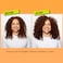 DevaCurl CurlHeights Volume  Body Boost Conditioner 32 oz