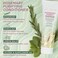 Pacifica Beauty Rosemary Purify Invigorating Conditioner Soothing Mint Hydrate and Nourish Scalp Lightweight Detangle Sulfate Free Silicone Free Vegan  Cruelty Free