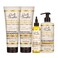 Carols Daughter X Coco Gauff Goddess Strong Bundle Hair Care Kit with Shampoo Conditioner LeaveIn Treatment and Scalp Oil 4 Items