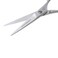 Tweezerman Stainless 2000 Styling Shears 55  Hair Scissors for Women and Men