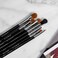 Sigma BeautyBasic Eye Makeup Brush Set  Classic Eye Makeup Brushes with Premium Fibers and Sleek Durable Handles for Eyeliner Eyeshadow  Eyebrows Includes 7 Black Makeup Brushes