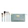 Sigma Beauty and Disney Cinderella Fairytale Brush Set  Professional Makeup Brush for Face and Eyeshadow  Hypoallergenic Vegan Makeup Brushes  3 Face Brushes 2 Eye Brushes