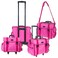 SHANY Makeup Artist Soft Rolling Trolley Cosmetic Case with Free Set of Mesh Bag Makeup Organizer  Travel Rolling Makeup Bag  Sweetheart