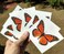 6 Large Monarch Butterfly Temporary Tattoos by Butterfly Utopia