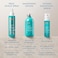 MoroccanoilSmoothing Lotion