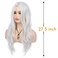 RicHyun White Wig Long Curly Wavy Wig Middle Part Cosplay Wig Synthetic Heat Resistant Costume Halloween Wigs for Women Girls