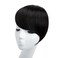 SARLA Side Hair Bangs Clip in Off Black One Piece Straight Synthetic Bangs Extension for Women