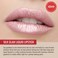 Runway Rogue Silk Glam Liquid Lipstick Long Wear PalePink Lipstick Trophy Wife