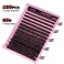 280Pcs Wispy Individual Lashes DIY Eyelash Extensions 816MM Fluffy D Curl Lash Extensions Lash Clusters 80D Cluster Eyelashes DIY at Home by ALICE