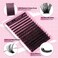 280Pcs Wispy Individual Lashes DIY Eyelash Extensions 816MM Fluffy D Curl Lash Extensions Lash Clusters 80D Cluster Eyelashes DIY at Home by ALICE