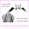 VEYESBEAUTYLash Clusters Individual Eyelash Extensions Thin  Invisible Band DIY False Eyelashes for Selfapplication Newbies FiveSecond Series Wispy Lash Tray LuxeBold 816mm Mixed Length