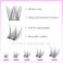 VEYESBEAUTYLash Clusters Individual Eyelash Extensions Thin  Invisible Band DIY False Eyelashes for Selfapplication Newbies FiveSecond Series Wispy Lash Tray LuxeBold 816mm Mixed Length