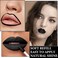 Black Matte Liquid Lipstick3 in 1 Black Lip Liner and Lipstick SetMatte Lip Gloss Long Lasting Moisturizing Velvet Lipgloss Make Up Gift Set Cosplay Goth Halloween Special Effects Makeup Kit