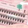 20D Lash Clusters 240pcs Individual Lash Extensions 20D Volume Cluster Lashes 812mm Mix Lengths C Curl 007mm Thickness eyelash Individual Cluster Lashes Apply Under your Lashes89101112mm