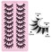 10 Pairs Anime Cosplay Lashes Spiky Manga Style Lashes Janpanese 16mm Extension Natural Manhua Doll Eye Lashes HalloweenParty Makeup Look by AUGENLI A3