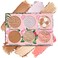 Physicians Formula AllStar Face Palette VelvetySmooth Buildable  Blendable FormulasVersatile Matte and Multidimensional Shades CrueltyFree  Vegan