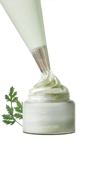 WHIPPED CREAM VEGAN CLEANSER MUGTREE  Mugwort  Tea Tree  For Oily Skin Moisturizing Face Cleanser Sebum  Pore Care Niacinamide Hyaluronic Acid  Korean Skincare 120ML 405 fl oz