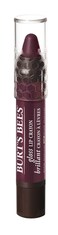 Burts Bees 100 Natural Moisturizing Gloss Lip Crayon Bordeaux Vines  1 Crayon