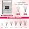 Bodermincer 240pcs C Curl 10D20D Cluster Eyelashes 89101112mm and Under Eyelashes Mixed Professional Makeup Individual Cluster Eye Lashes 89101112mm and Under Eyelashes