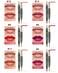 6Pcs Lip Liner and Lipstick Makeup Set Purple RedClaretVermilionPastel OrangeRoseRuby Red Lipstick Pen and with Lip Liner Pencil Set Lipstick Gift Set for DailyTravelPartyWork