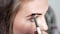 Dark Brown Eyebrow Henna Tint for Eyebrow Color Professional Henna Brow Kit Including Use Instructions and Mixing Bowl 3x 1g Packets Brow Dye by Existing Beauty