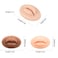 AIYUENCICI 3Pcs 3D Tattoo Practice Lips Soft Silicone Realistic Tattooing Fake Skin for Semi Permanent Make Up Microblading Lip Training Kit Multicolored
