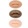 AIYUENCICI 3Pcs 3D Tattoo Practice Lips Soft Silicone Realistic Tattooing Fake Skin for Semi Permanent Make Up Microblading Lip Training Kit Multicolored