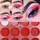 Red Pink Eyeshadow Palette DELANCI Professional Matte Shimmer High Pigmented 12 Colors Eye Shadow Makeup Pallet Waterproof Blendable Small and Cute Eye Shadow Makeup Pallete Vegan and Cruelty Free