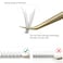 Individual LashesLash Clusters 480pcs 814mm Cluster Eyelash Extensions 12 RootsC Curl 007mm Cluster LashesFaux Mink Lash Extensions C Curl Fishtail Lashes007mm
