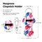 KPX40Pcs Chapstick Holder Random Color Keychain with Metal Clip Cords Lip Balm Holder Chapstick Keychain Holder Bulk for Lipstick Chapstick Tracker Safeguard