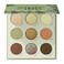 ColourpopSage the Day Shadow Palette  Sage  Olive Palette with Metallic and Matte Finishes  HighPigment Makeup with a LongWearing Formula 03 oz