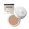 NATURACTOR Cover Foundation Spotscover concealer 20g 151