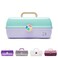 Caboodles OnTheGoGirl Case