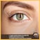 Burts Bees100 Natural Eye Shadow Palette Trio Dusky Woods  012 Ounce