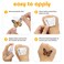 Savvi18 American Traditional Temporary Tattoos SkinSafe Ink Great for Parties and Everyday WearGifts for Teens and Adults Made in the USA 2 sheets 18 count