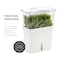 Cole  Mason Fresh Herb Keeper  Acrylic Herb Storage Container for Refrigerator  Fridge Herb Storage for Parsley Cilantro Rosemary  Other Herbs  Vegetables  Herb Saver Pod  Clear