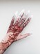 Reusable Henna Hand Acrylic Plastic Template for Homemade Henna Mehendi Heena Beginner Kit Drawing Body Art Hena Temporary Tattoo Practice Mendi CLEAR