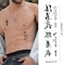 Tattoo Chinese 130Realistic and Elegant Temporary Tattoos of Chinese Characters Fake Tattoo of Letters Waterproof and LongLasting Christmas Gift