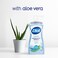 DialAntibacterial Foaming Hand Wash Spring Water 75 fl oz Pack of 6