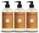 MRS MEYERS CLEAN DAYHand Soap Made with Essential Oils Apple Cider 125 Fl Oz Pack of 3