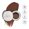 Eyebrow Stamp Stencil Kit Brow Stamp 24 Pieces Eyebrow Stencils Thick and Thin with 2 Dual Ended Brush and Sponge Applicators Perfect Natural Brow Waterproof Blonde