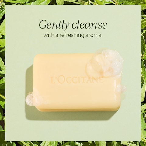 LOCCITANE Shea Butter ExtraGentle Solid Soap Citrusy Shea Verbena Relaxing Shea Lavender Vegetable Based Artisanal Hand  Body Soap Gently Cleanse Vegan
