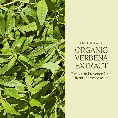 LOCCITANE Shea Butter ExtraGentle Solid Soap Citrusy Shea Verbena Relaxing Shea Lavender Vegetable Based Artisanal Hand  Body Soap Gently Cleanse Vegan