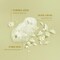 LOCCITANE Shea Butter ExtraGentle Solid Soap Citrusy Shea Verbena Relaxing Shea Lavender Vegetable Based Artisanal Hand  Body Soap Gently Cleanse Vegan