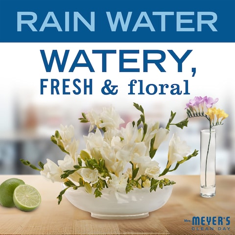 MRS MEYERS CLEAN DAY Moisturizing Body Wash For Women And Men Biodegradable Shower Gel Formula Made With Essential Oils Rain Water 16 oz